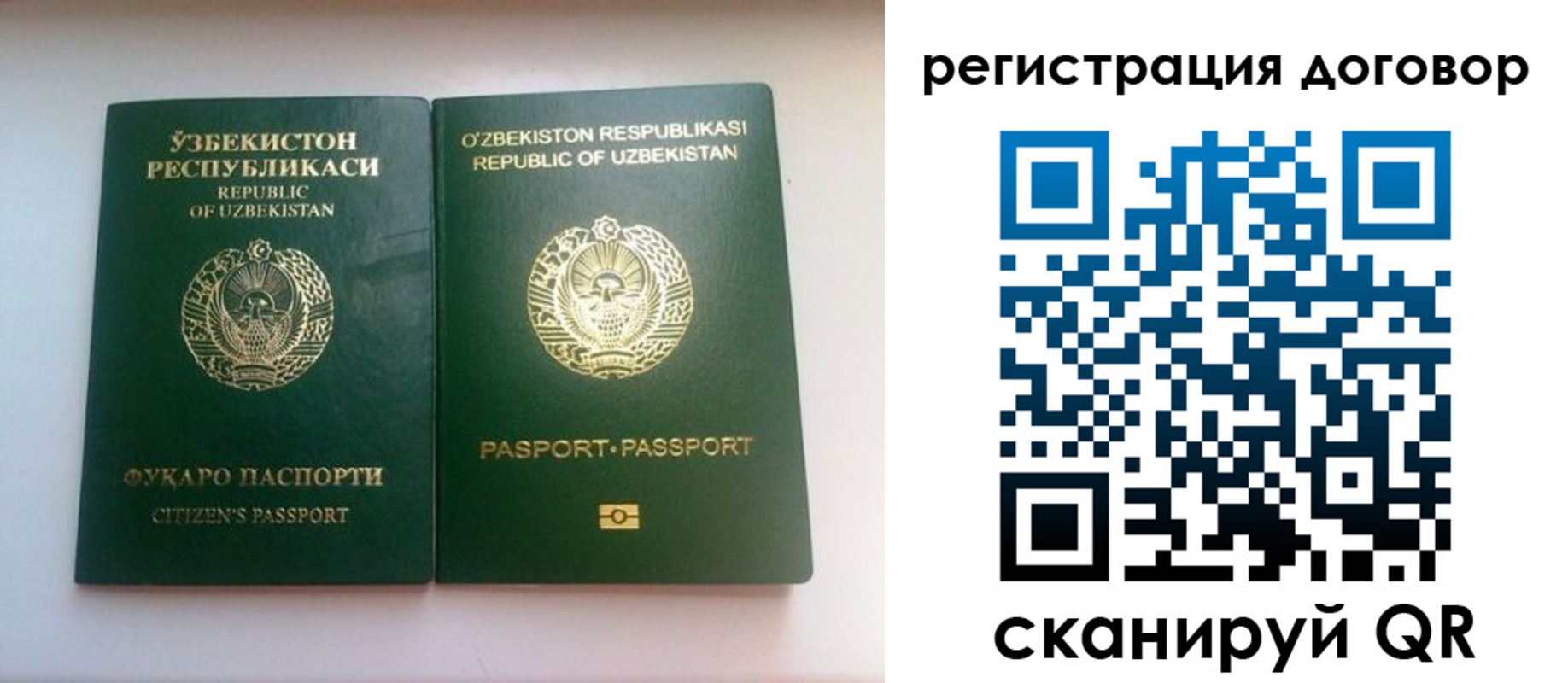 прописка в Новомосковске